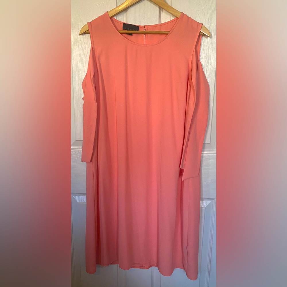 Peach Pink Dress